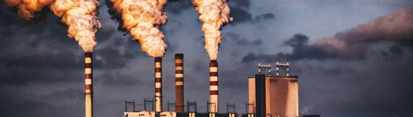 Communities thrive when corporations die (video)