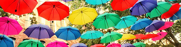 The Trans Umbrella is Folding (video)