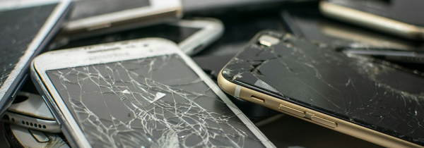 The Malicious Digital ID